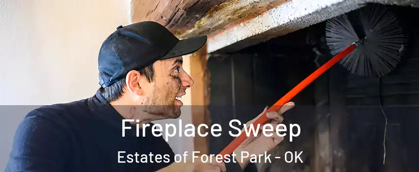 Fireplace Sweep Estates of Forest Park - OK