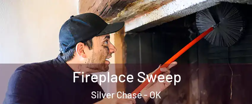 Fireplace Sweep Silver Chase - OK