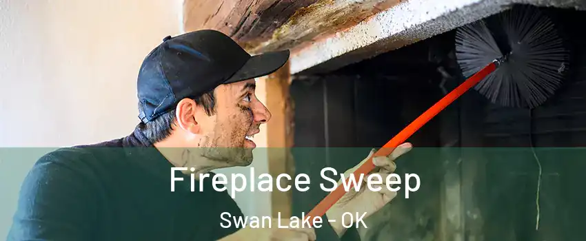 Fireplace Sweep Swan Lake - OK