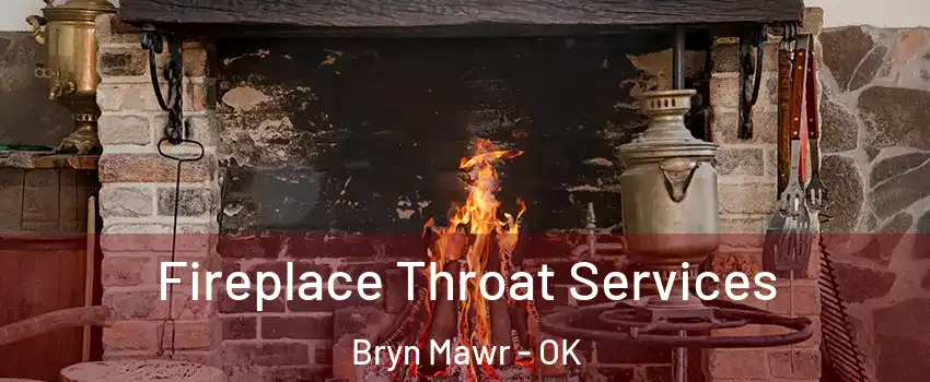 Fireplace Throat Services Bryn Mawr - OK
