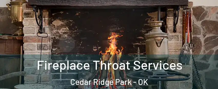 Fireplace Throat Services Cedar Ridge Park - OK