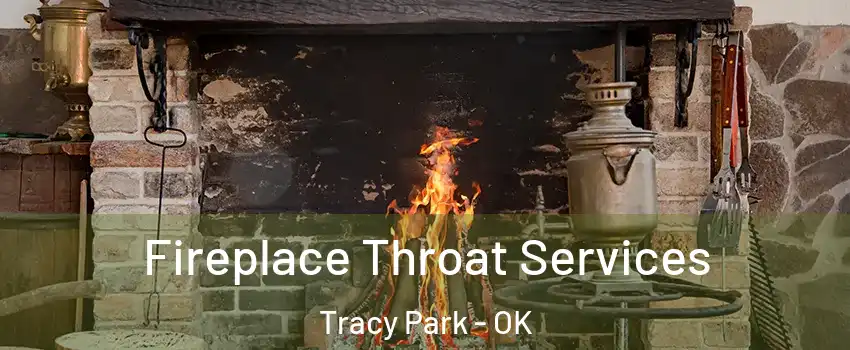Fireplace Throat Services Tracy Park - OK