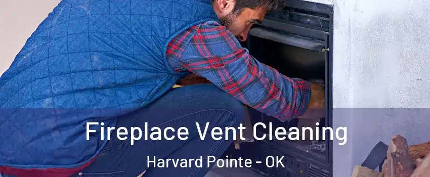 Fireplace Vent Cleaning Harvard Pointe - OK