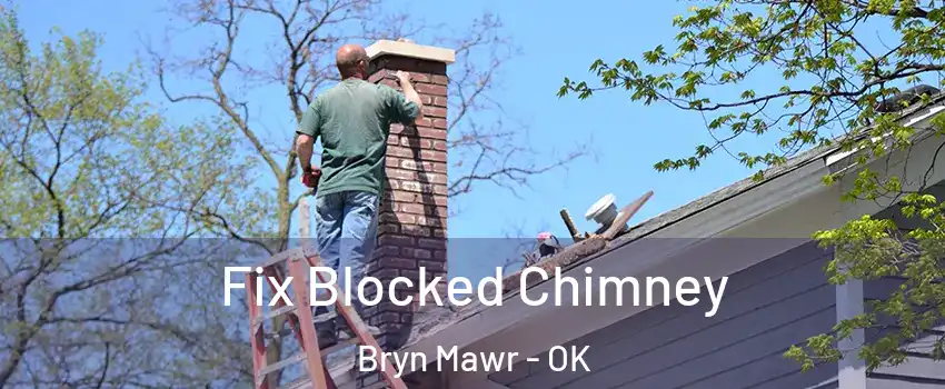 Fix Blocked Chimney Bryn Mawr - OK