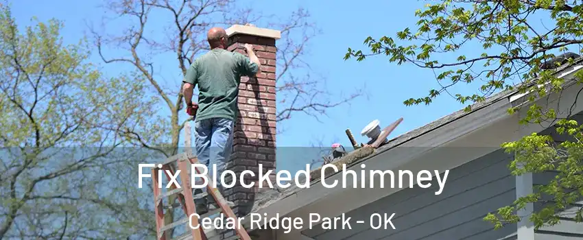 Fix Blocked Chimney Cedar Ridge Park - OK