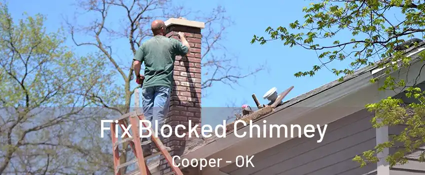 Fix Blocked Chimney Cooper - OK