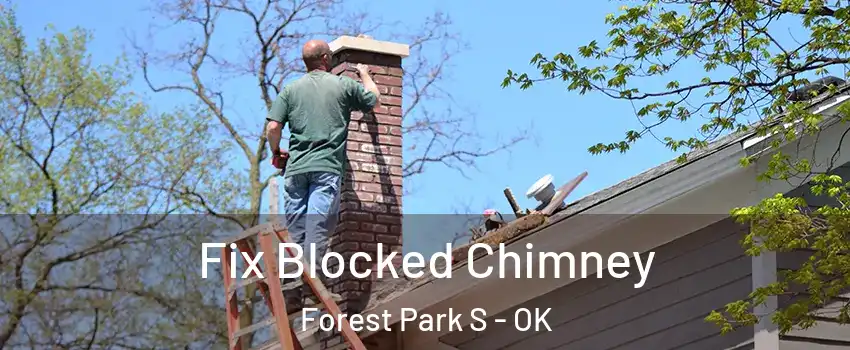 Fix Blocked Chimney Forest Park S - OK