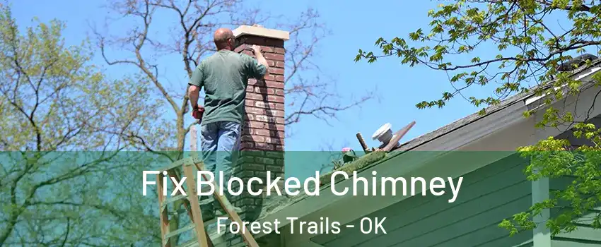 Fix Blocked Chimney Forest Trails - OK