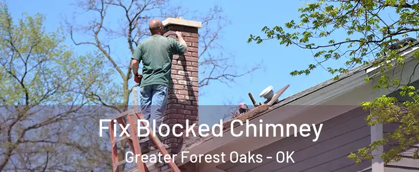 Fix Blocked Chimney Greater Forest Oaks - OK