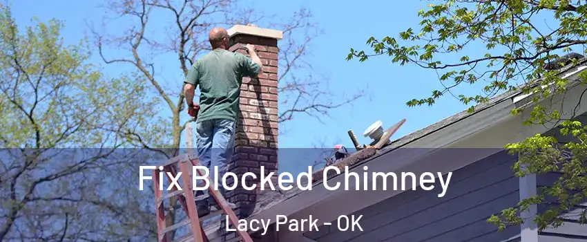 Fix Blocked Chimney Lacy Park - OK