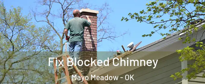 Fix Blocked Chimney Mayo Meadow - OK