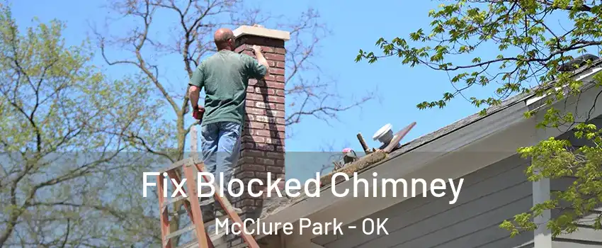 Fix Blocked Chimney McClure Park - OK