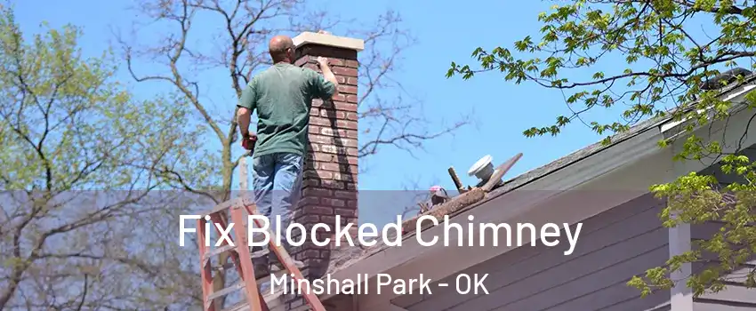 Fix Blocked Chimney Minshall Park - OK