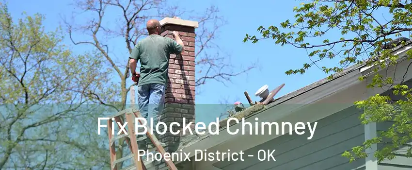Fix Blocked Chimney Phoenix District - OK