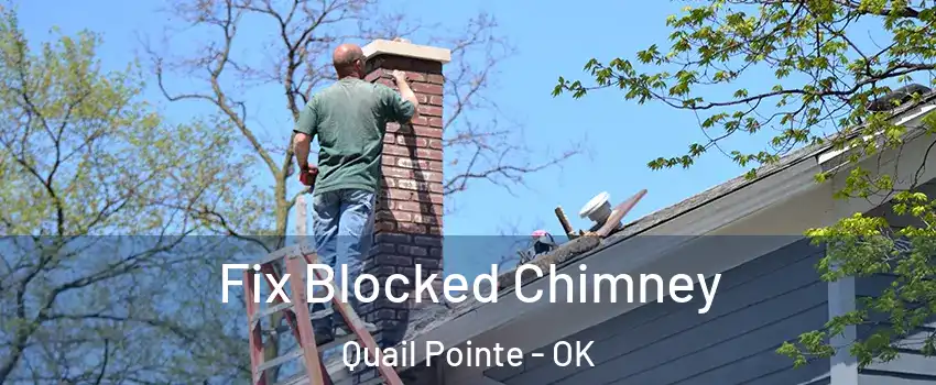 Fix Blocked Chimney Quail Pointe - OK