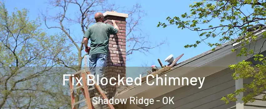 Fix Blocked Chimney Shadow Ridge - OK