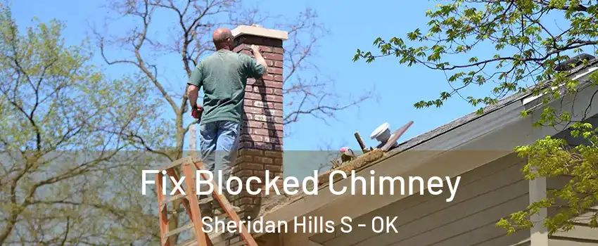 Fix Blocked Chimney Sheridan Hills S - OK