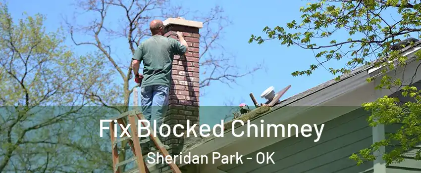 Fix Blocked Chimney Sheridan Park - OK