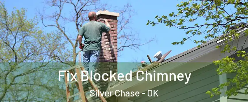 Fix Blocked Chimney Silver Chase - OK
