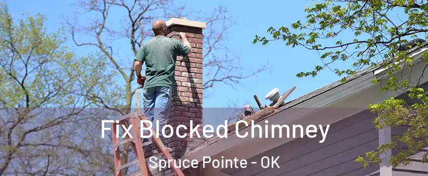 Fix Blocked Chimney Spruce Pointe - OK