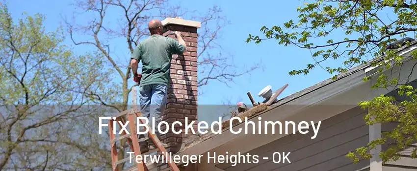 Fix Blocked Chimney Terwilleger Heights - OK