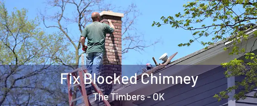Fix Blocked Chimney The Timbers - OK