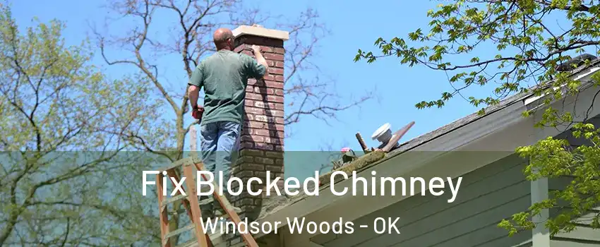 Fix Blocked Chimney Windsor Woods - OK