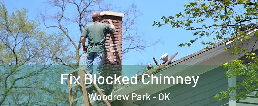 Fix Blocked Chimney Woodrow Park - OK