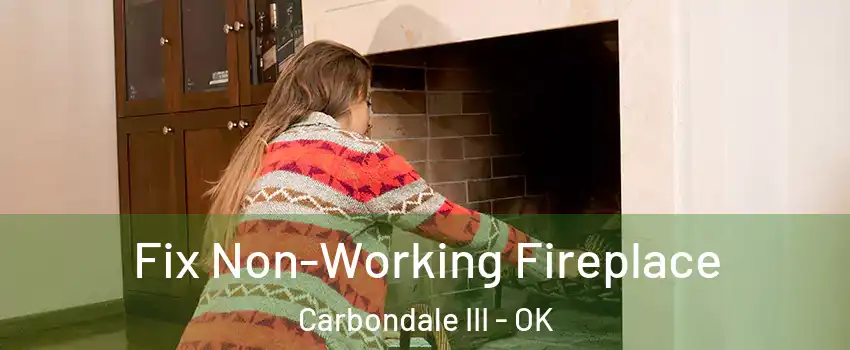 Fix Non-Working Fireplace Carbondale III - OK