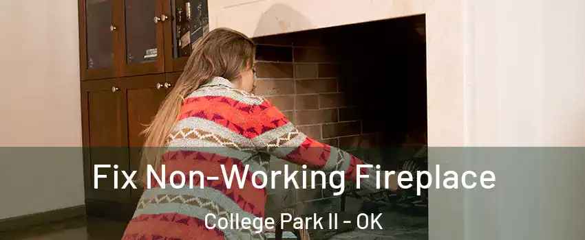 Fix Non-Working Fireplace College Park II - OK
