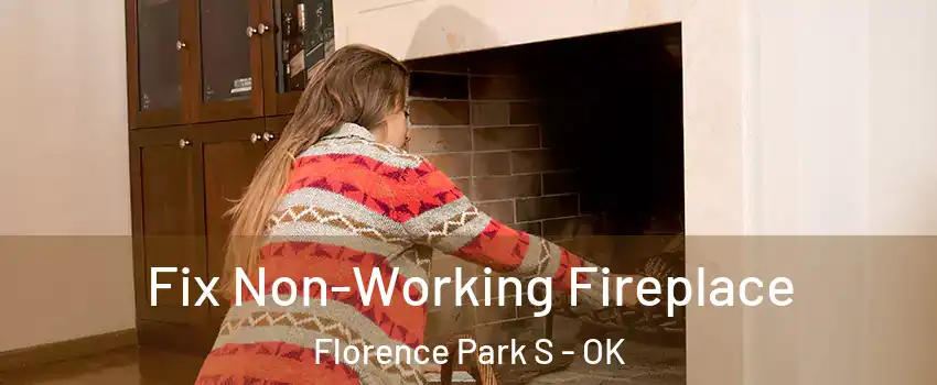 Fix Non-Working Fireplace Florence Park S - OK