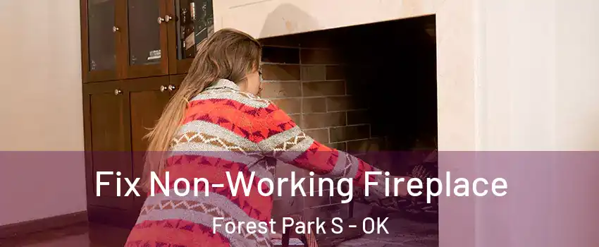 Fix Non-Working Fireplace Forest Park S - OK