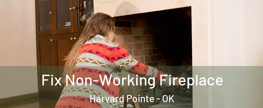 Fix Non-Working Fireplace Harvard Pointe - OK
