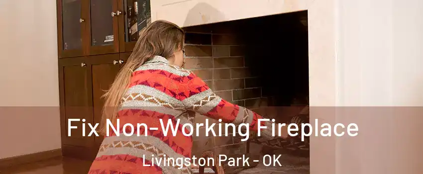 Fix Non-Working Fireplace Livingston Park - OK
