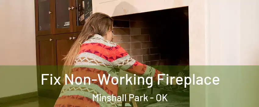 Fix Non-Working Fireplace Minshall Park - OK