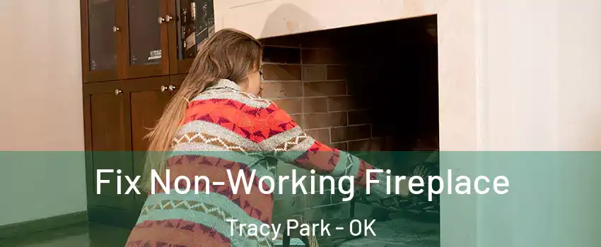 Fix Non-Working Fireplace Tracy Park - OK