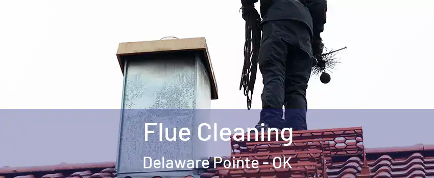 Flue Cleaning Delaware Pointe - OK