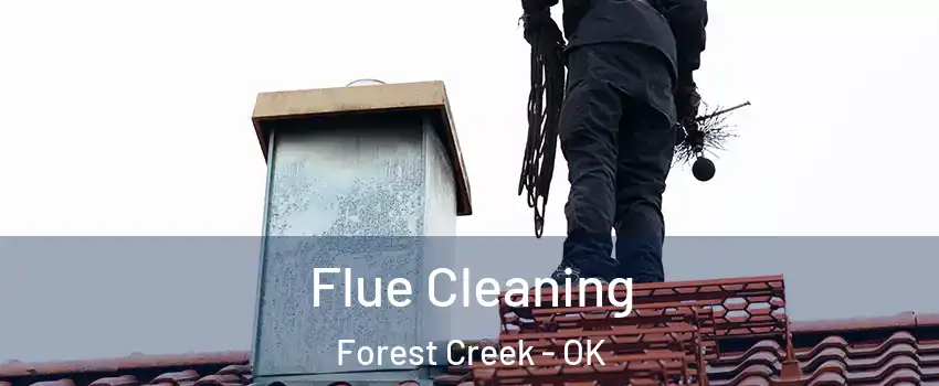 Flue Cleaning Forest Creek - OK