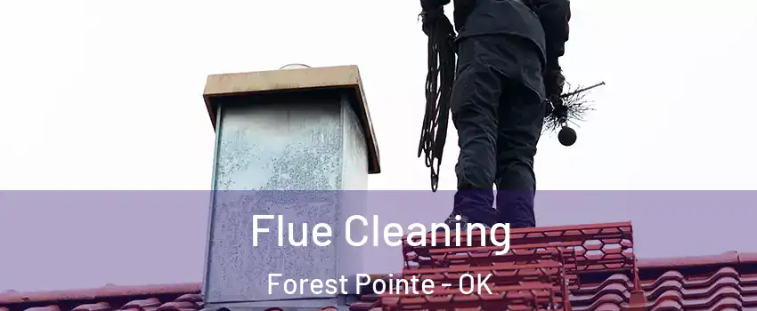 Flue Cleaning Forest Pointe - OK