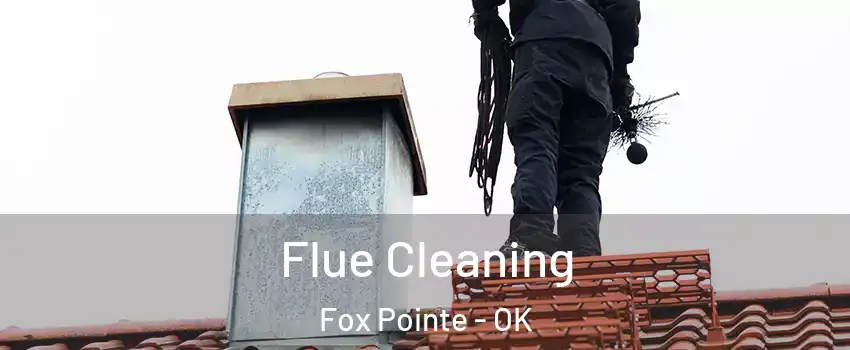 Flue Cleaning Fox Pointe - OK