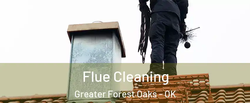 Flue Cleaning Greater Forest Oaks - OK