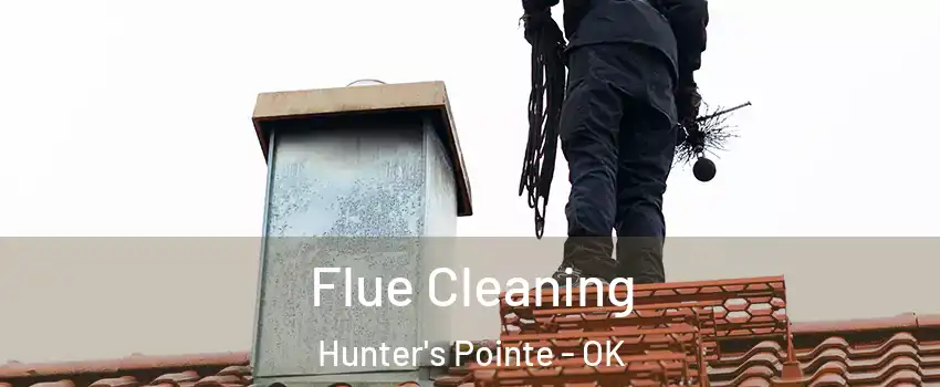 Flue Cleaning Hunter's Pointe - OK