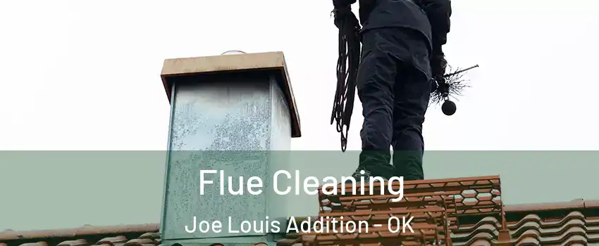 Flue Cleaning Joe Louis Addition - OK