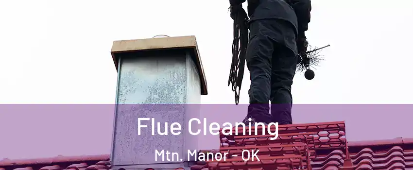 Flue Cleaning Mtn. Manor - OK