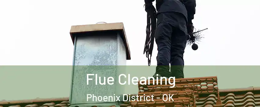 Flue Cleaning Phoenix District - OK