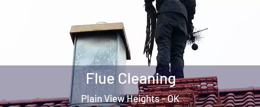 Flue Cleaning Plain View Heights - OK