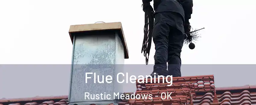 Flue Cleaning Rustic Meadows - OK