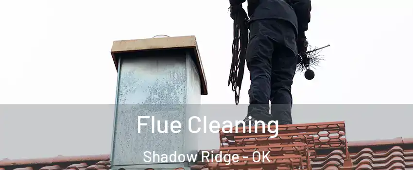 Flue Cleaning Shadow Ridge - OK