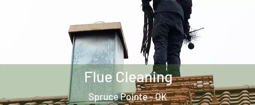 Flue Cleaning Spruce Pointe - OK