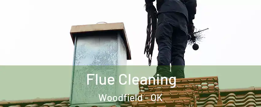 Flue Cleaning Woodfield - OK